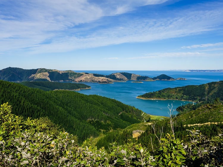 Picton, Neuseeland &ndash; weiter Blick &uuml;ber gr&uuml;ne H&uuml;gel, Fjorde und das offene Meer