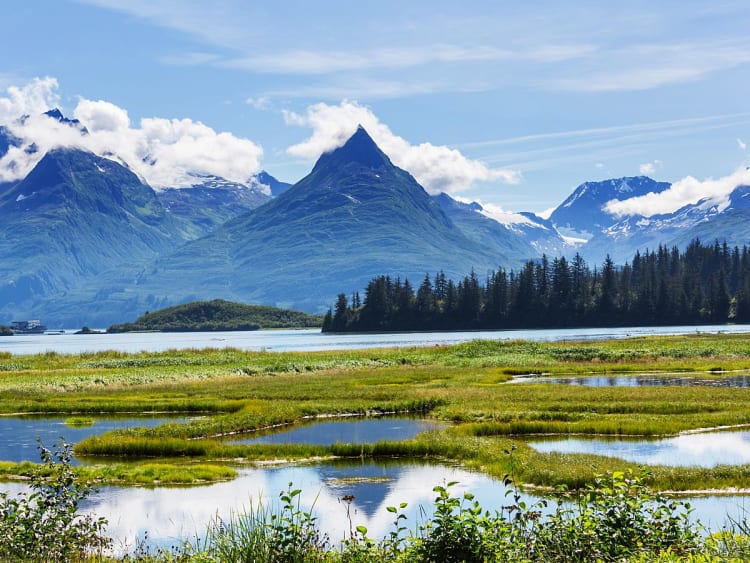 Anchorage, Alaska &ndash; stille Wasserfl&auml;chen spiegeln gr&uuml;ne Bergwelt mit Gletscherblick