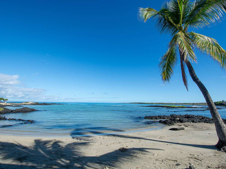 Kona (Hawaii, Hawaii, USA) - Picture 27