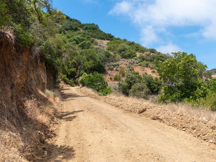 Santa Catalina Island, USA &ndash; einsamer Naturpfad windet sich durch gr&uuml;ne H&uuml;gel