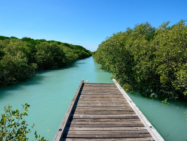 Broome, Australien &ndash; schmaler Holzsteg f&uuml;hrt durch t&uuml;rkisfarbenes Mangrovenwasser