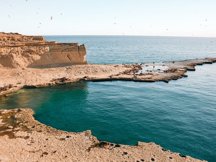 Puerto Madryn, Argentinien &ndash; Felsige K&uuml;ste mit t&uuml;rkisfarbenem Wasser und V&ouml;geln