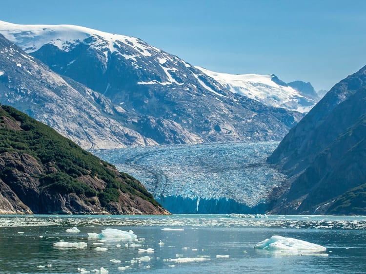 Endicott Arm (Alaska, USA) - Bild 41