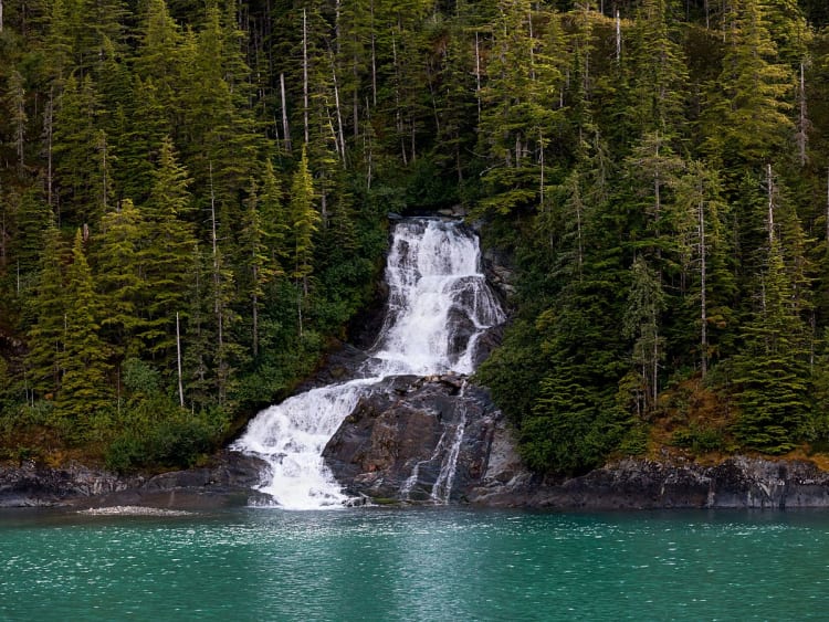 Endicott Arm (Alaska, USA) - Bild 42