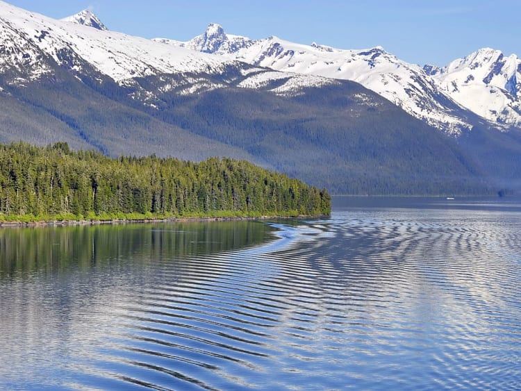 Endicott Arm (Alaska, USA) - Bild 39