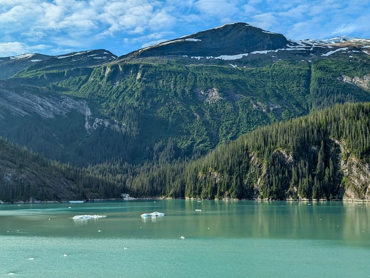 Endicott Arm (Alaska, USA) - Bild 43