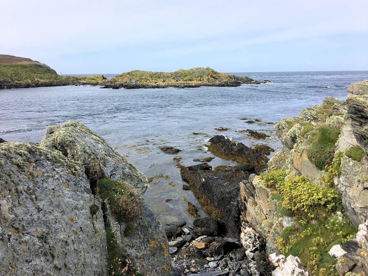 Calf of Man (Isle of Man) - Picture 34