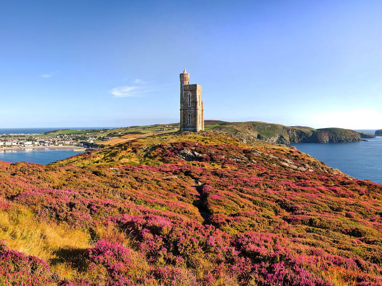 Calf of Man (Isle of Man) - Picture 32