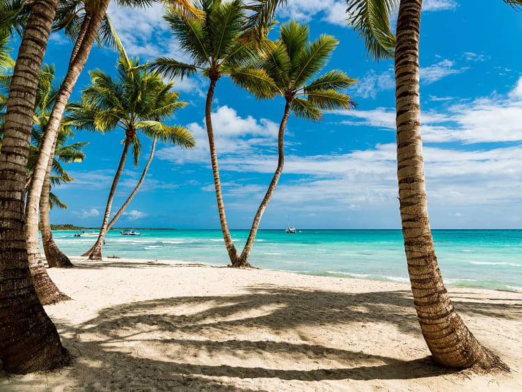 Santo Domingo, Dominikanische Republik - Palmenstrand mit wei&szlig;em Sand und t&uuml;rkisblauem Karibikmeer