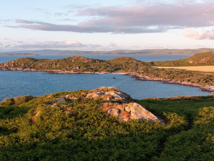 Gigha (Ecosse) - Image 44