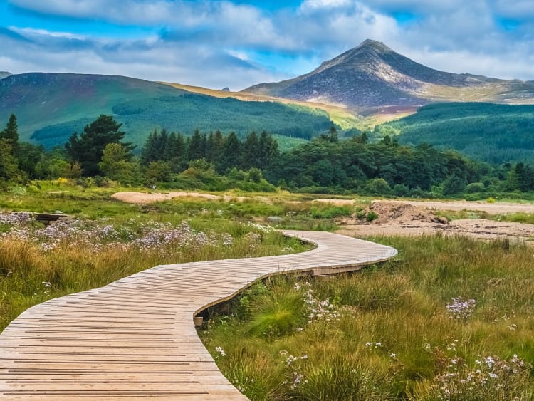 Brodick (Ilha de Arran, Esc&oacute;cia) - Bild 32