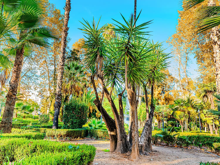 Castell&oacute;n de la Plana (Castell&oacute;n), Spanien &ndash; Tropisch wirkender Park mit Palmen und &uuml;ppiger Vegetation unter blauem Himmel.