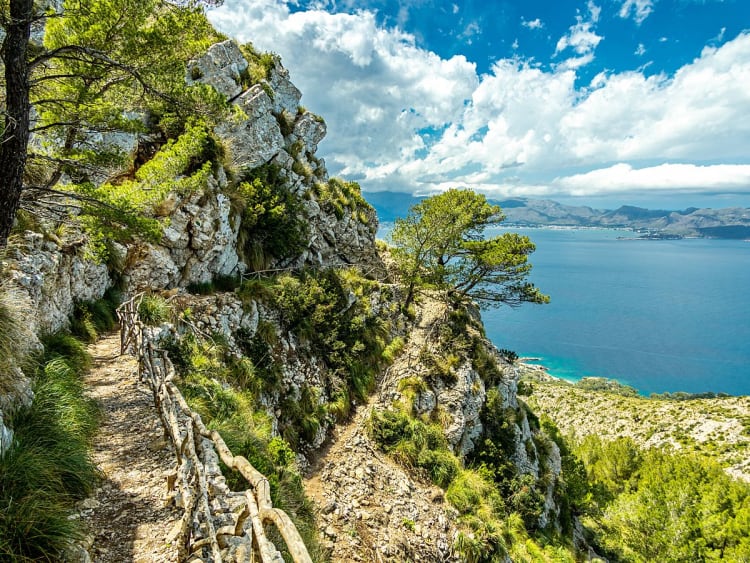 Alc&uacute;dia (Mallorca, Spanje) - Foto 44