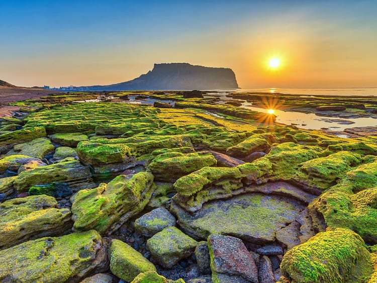 Cheju (Zuid-Korea) - Foto 44