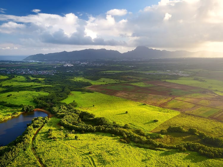 Lihue (Kauai, Hawaii, VS) - Foto 57