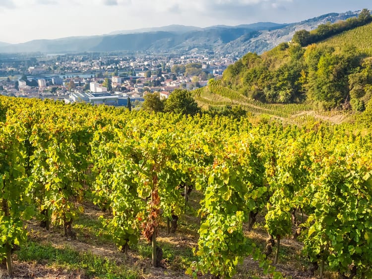 Tain-l'Hermitage (Fran&ccedil;a) - Bild 16