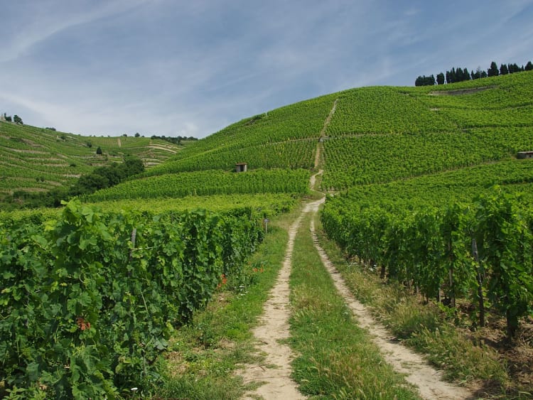 Tain-l'Hermitage (Fran&ccedil;a) - Bild 17