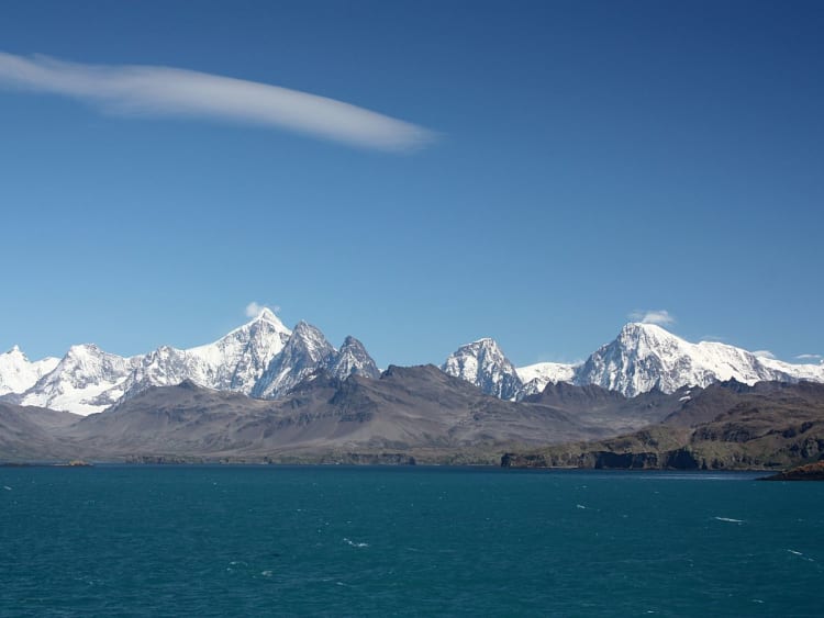 S&uuml;dgeorgien (S&uuml;dgeorgien und S&uuml;dsandwich-Inseln) - Bild 35