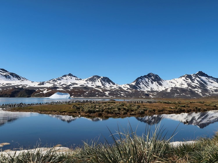 S&uuml;dgeorgien (S&uuml;dgeorgien und S&uuml;dsandwich-Inseln) - Bild 34