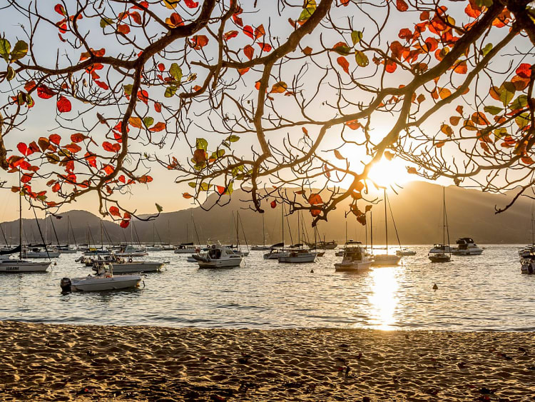 Ilhabela (S&atilde;o Paulo, Brasilien) - Bild 37