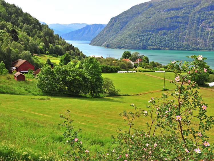 &Oslash;rnes (Noorwegen) - Foto 39