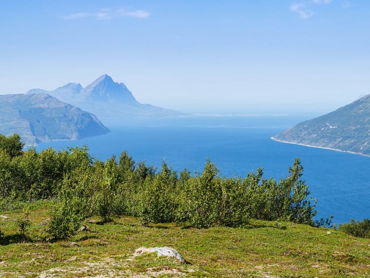 Nesna (Noorwegen) - Foto 46