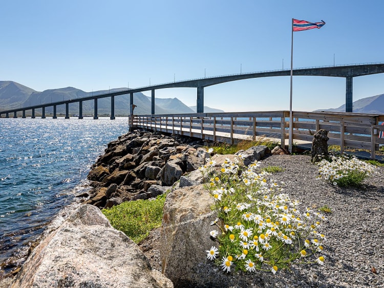 Ris&oslash;yhamn (Vester&aring;len, Norwegen) - Bild 115