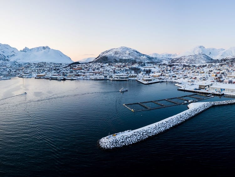 Skjerv&oslash;y, Norwegen - K&uuml;stenort mit Hafenanlagen vor winterlicher Bergkulisse
