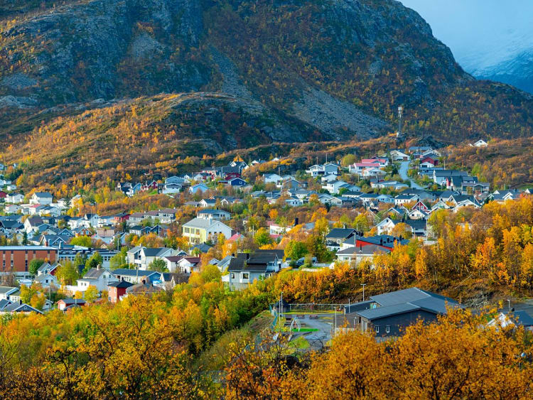 Skjerv&oslash;y, Norwegen - Ort am Hang mit bunten H&auml;usern und herbstlichen B&auml;umen
