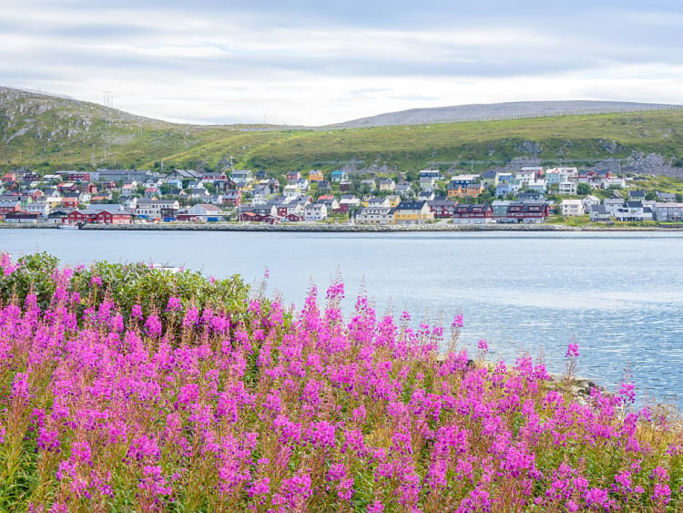 Kj&oslash;llefjord, Norwegen - K&uuml;stenort am Wasser mit Bl&uuml;ten und sanften H&uuml;geln