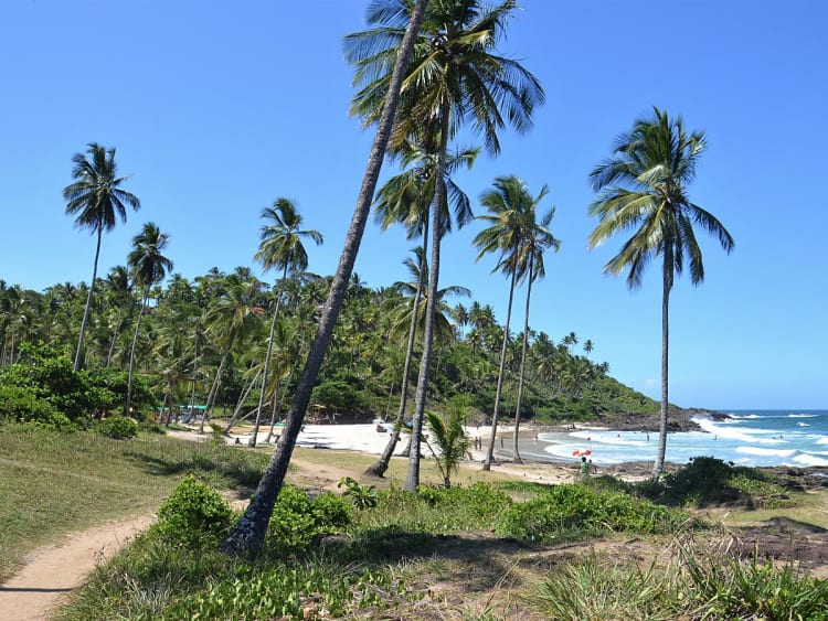 Ilh&eacute;us (Bahia, Br&eacute;sil) - Image 24