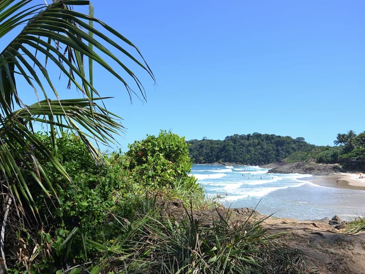 Ilh&eacute;us (Bahia, Br&eacute;sil) - Image 28