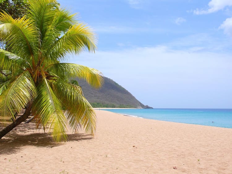 Deshaies (Guadeloupe) - Bild 24