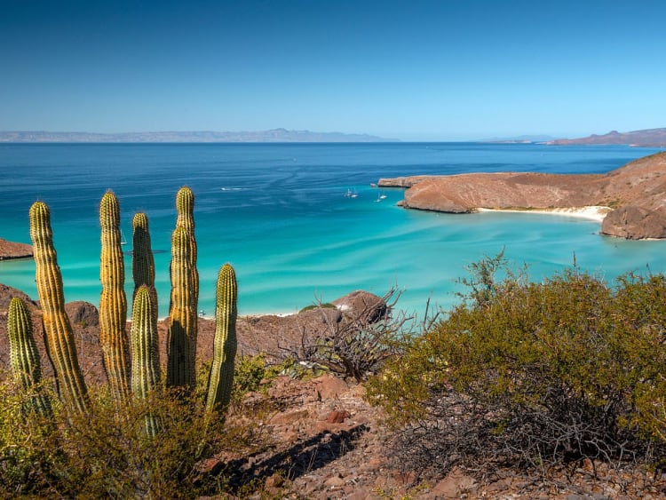 La Paz (Baja Californie, Mexique) - Image 27