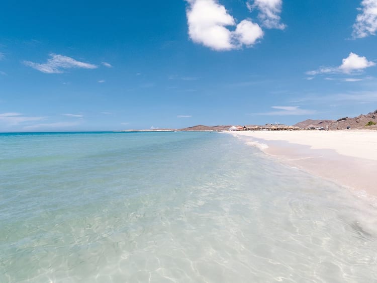 La Paz (Baja Californie, Mexique) - Image 28