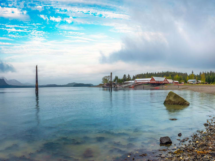 Icy Strait (Alaska, USA) - Bild 24