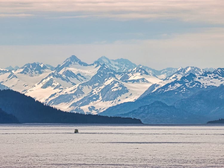 Icy Strait (Alaska, USA) - Bild 23