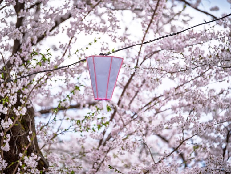 Niigata (Japan) - Bild 34