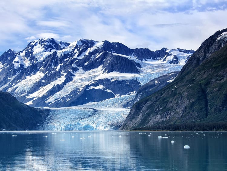 College Fjord (Alaska, USA) - Bild 38