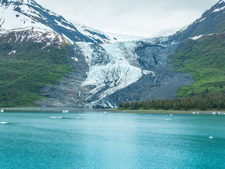 College Fjord (Alaska, USA) - Bild 40