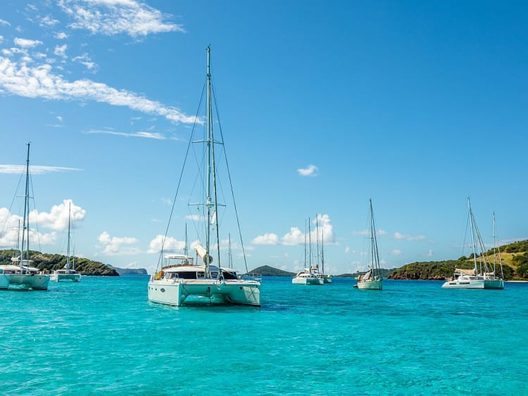 Tobago Cays (St. Vincent & Grenadinen) - Image 48