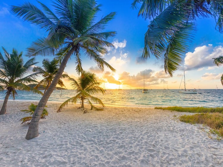 Tobago Cays (St. Vincent & Grenadinen) - Image 46