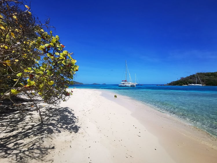 Tobago Cays (St. Vincent & Grenadinen) - Image 47