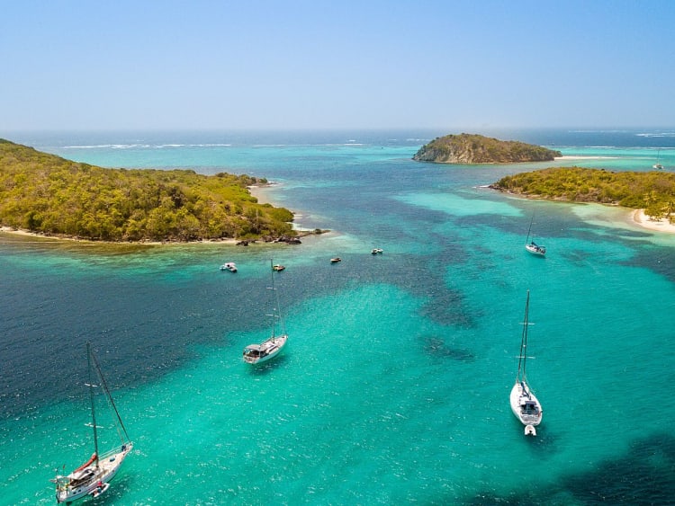 Tobago Cays (St. Vincent & Grenadinen) - Image 49