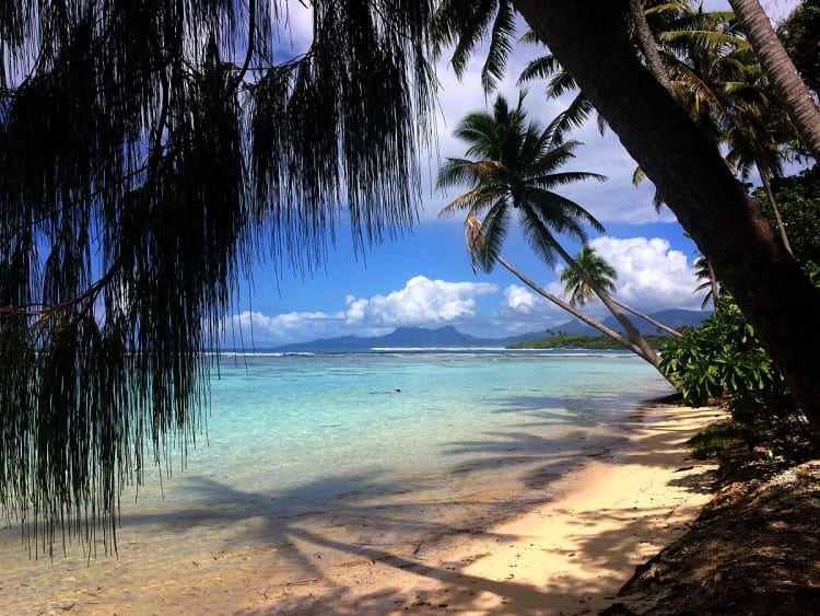 Motu Mahaea (Polyn&eacute;sie fran&ccedil;aise) - Image 25