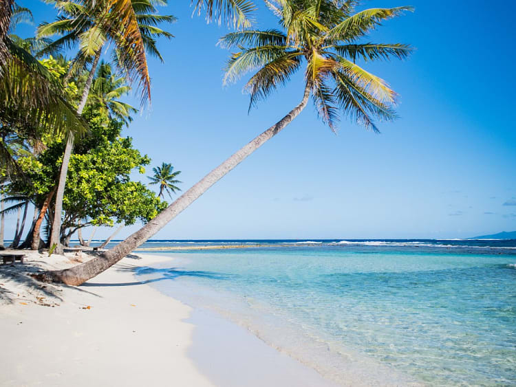 Motu Mahaea (Polyn&eacute;sie fran&ccedil;aise) - Image 27