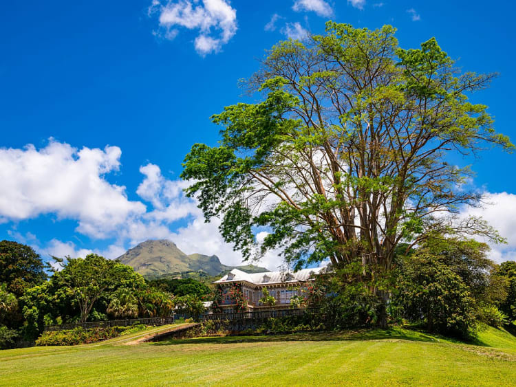 Saint-Pierre (Martinique) - Image 51