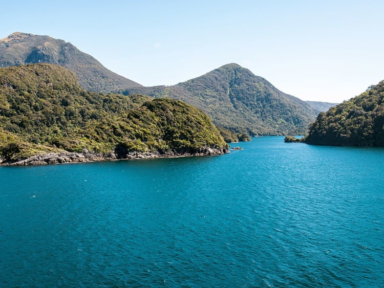 Dusky Sound (Nieuw-Zeeland) - Foto 98