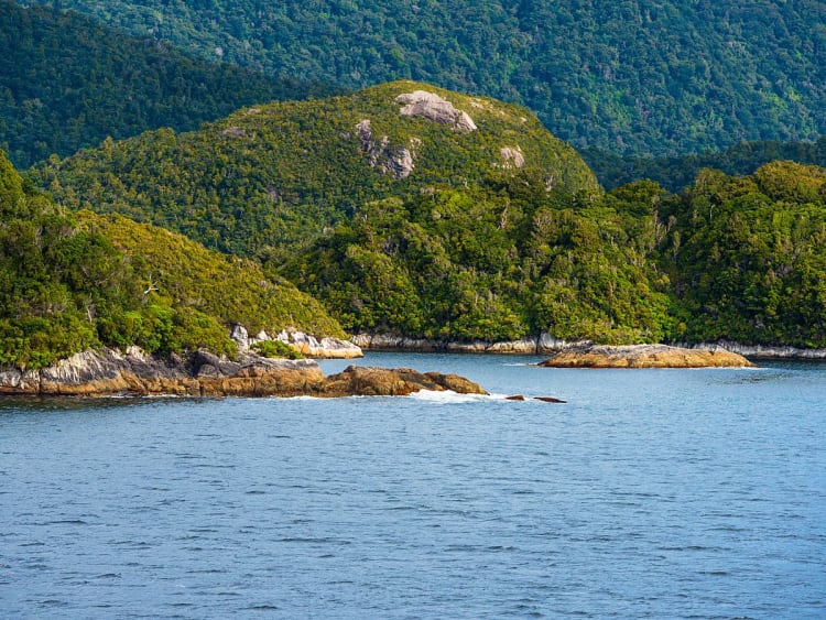 Dusky Sound (Nieuw-Zeeland) - Foto 97