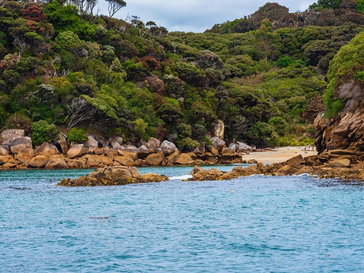 Dusky Sound (Nouvelle-Z&eacute;lande) - Image 91